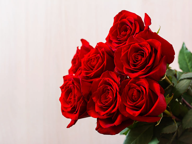 VALENTINOVO